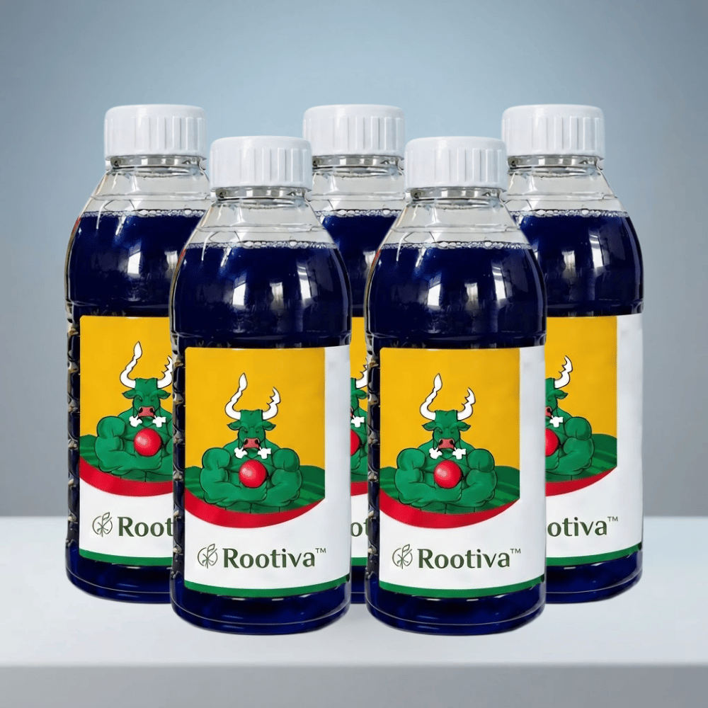 Rootiva