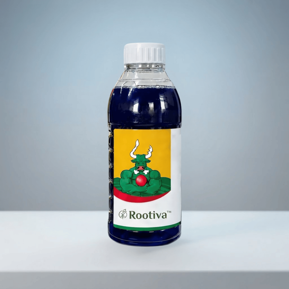 Rootiva