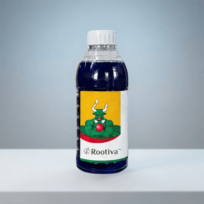 Rootiva