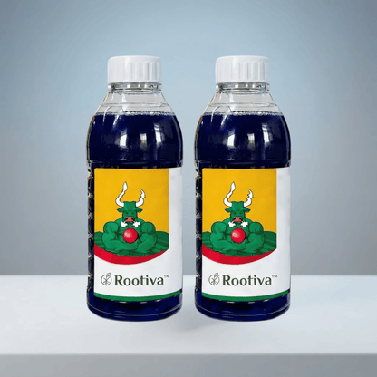 Rootiva