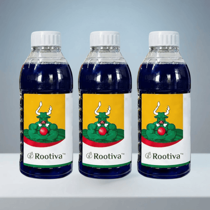 Rootiva