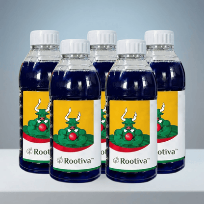 Rootiva